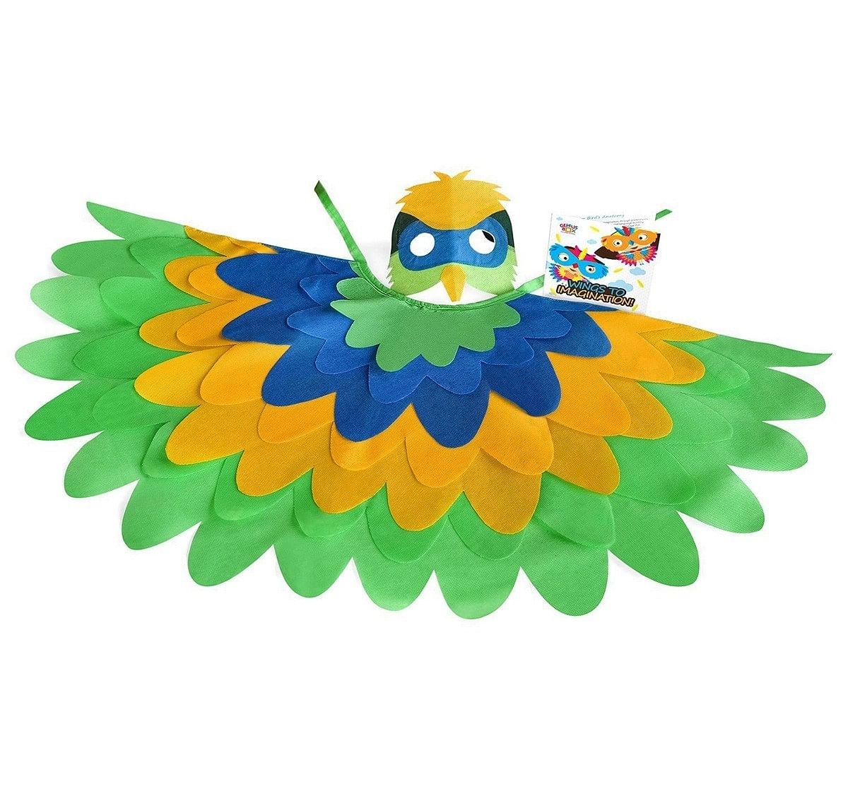 Genius Box - Play Some Learning Toys For Kids : Feathered Friends Diy Activity Kit | Educational Toy | Learning Kit | Educational Kit | Stem