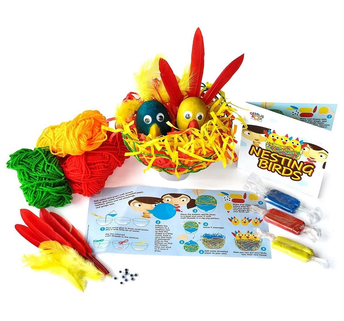 Genius Box - Play Some Learning Toys For Kids : Feathered Friends Diy Activity Kit | Educational Toy | Learning Kit | Educational Kit | Stem