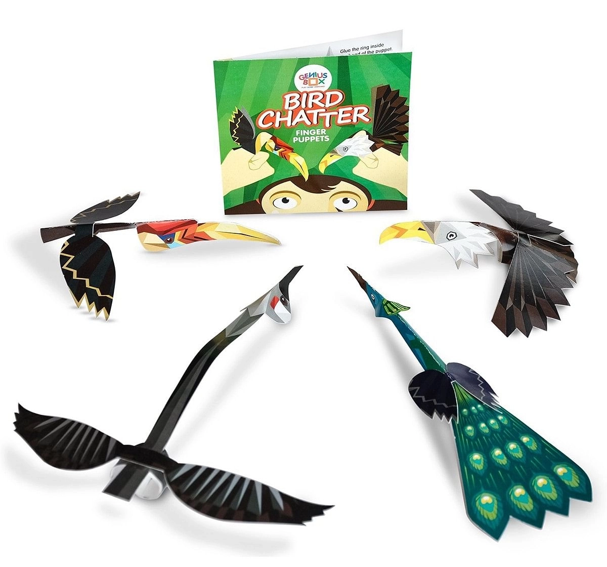 Genius Box - Play Some Learning Toys For Kids : Feathered Friends Diy Activity Kit | Educational Toy | Learning Kit | Educational Kit | Stem