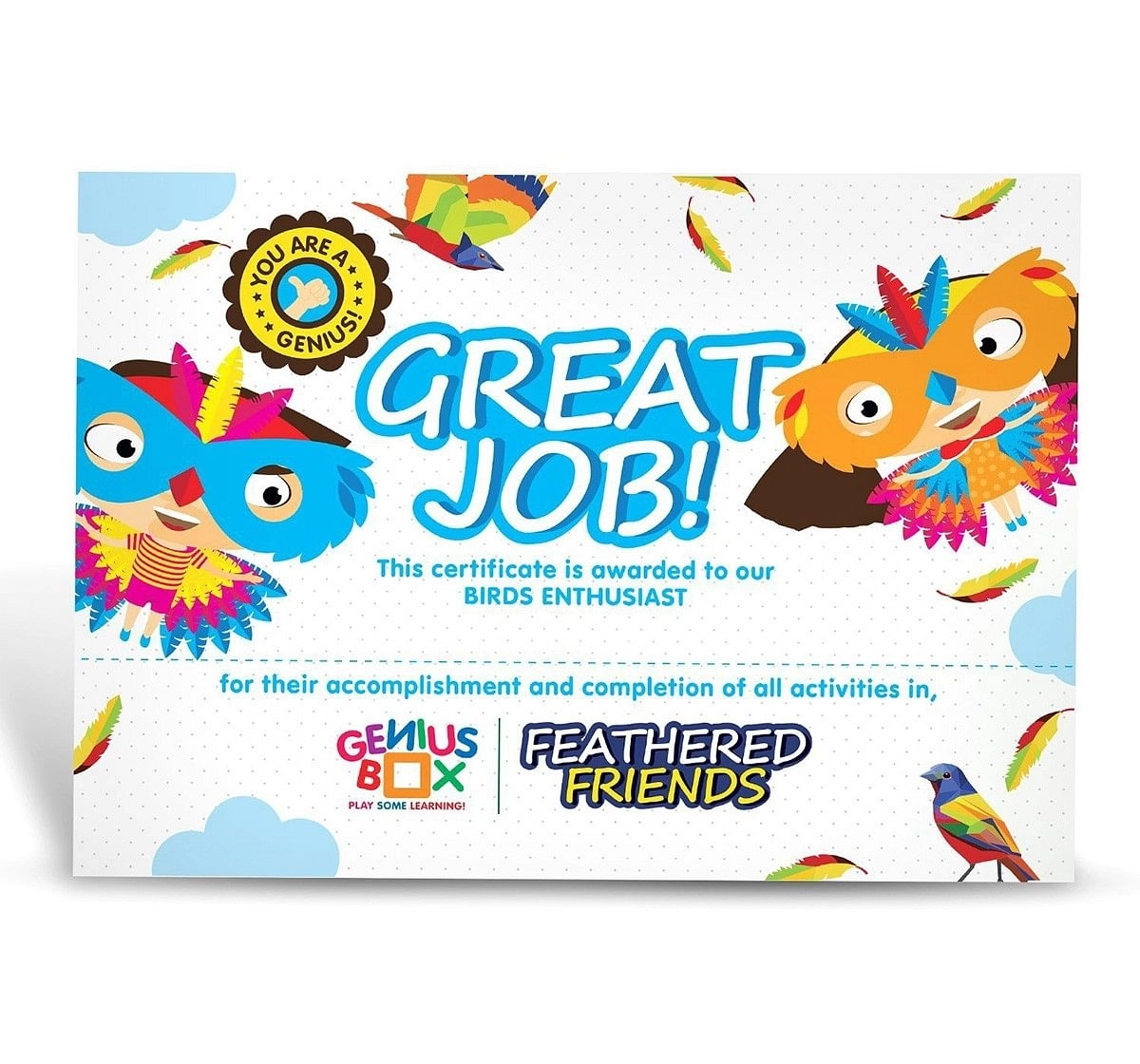 Genius Box - Play Some Learning Toys For Kids : Feathered Friends Diy Activity Kit | Educational Toy | Learning Kit | Educational Kit | Stem