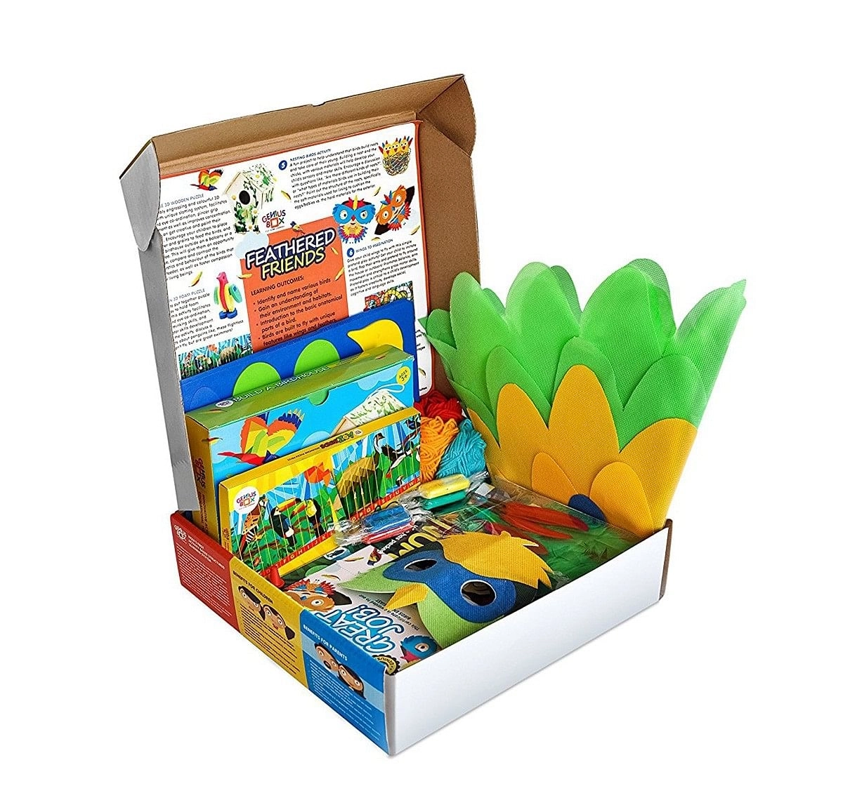 Genius Box - Play Some Learning Toys For Kids : Feathered Friends Diy Activity Kit | Educational Toy | Learning Kit | Educational Kit | Stem