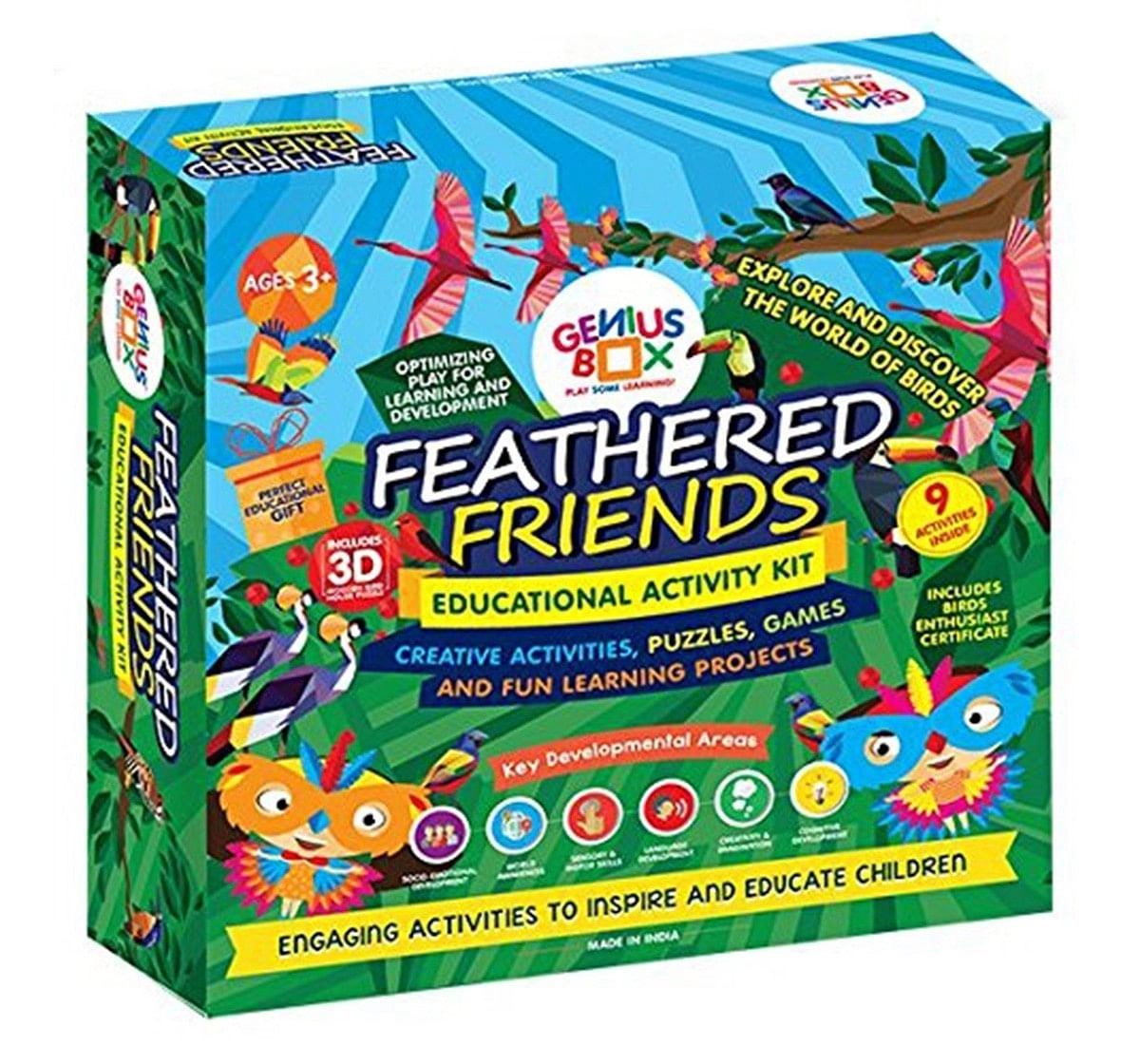 Genius Box - Play Some Learning Toys For Kids : Feathered Friends Diy Activity Kit | Educational Toy | Learning Kit | Educational Kit | Stem