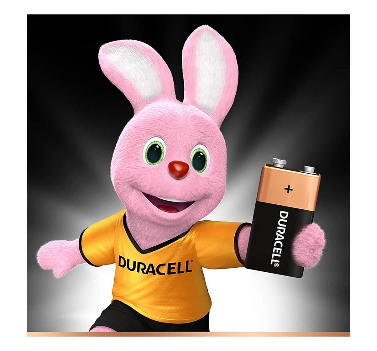 Duracell 9V Alkaline Batteries-Pack of 2 Essentials for Kids age 3Y+ 