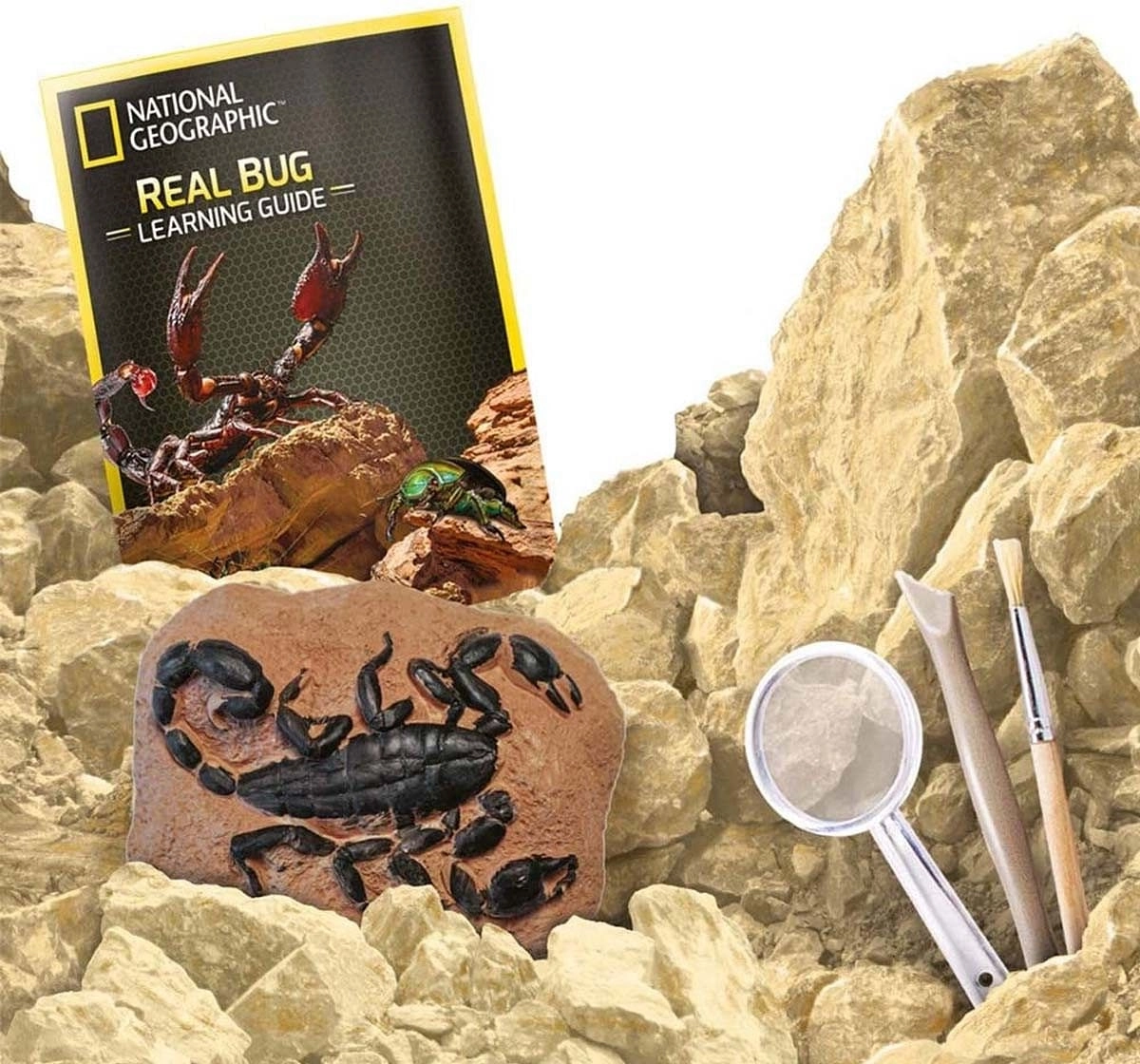 National Geographic Real Bug Dig Science Kits for Kids age 8Y+ 
