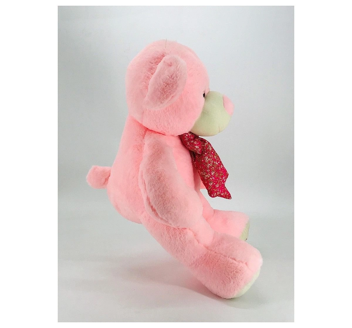 Dimpy Premium Bear 60cm Pink