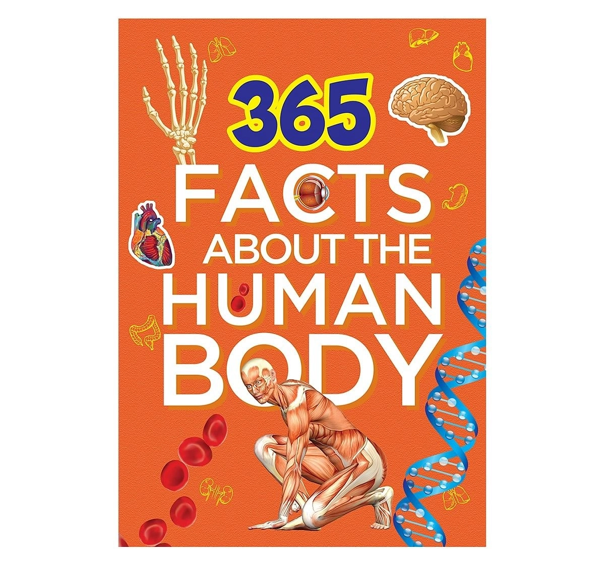 Om Books: 365 Facts About the Human Body, 236 Pages, Hardcover