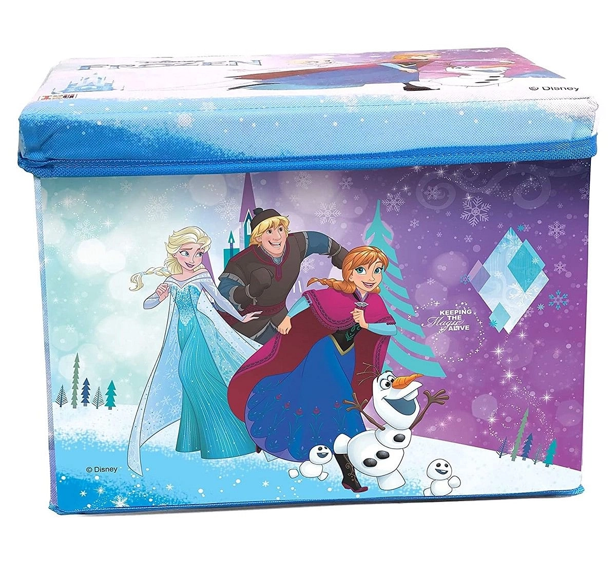 Disney Frozen Toy Storage Box for Kids age 3Y+ 