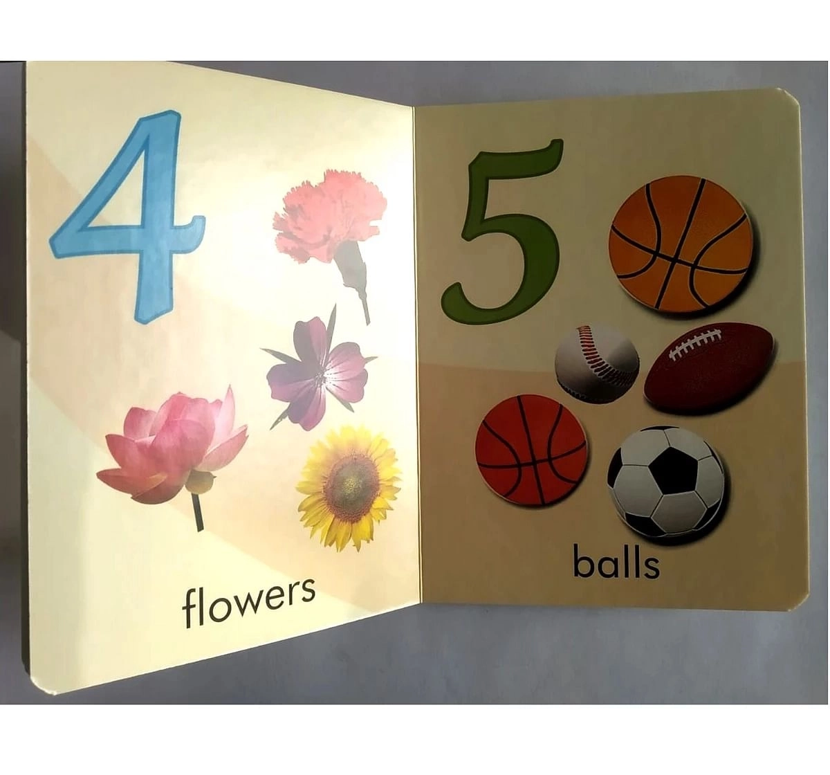 Sterling Horizons Picture Books Numbers Multicolour 3Y+