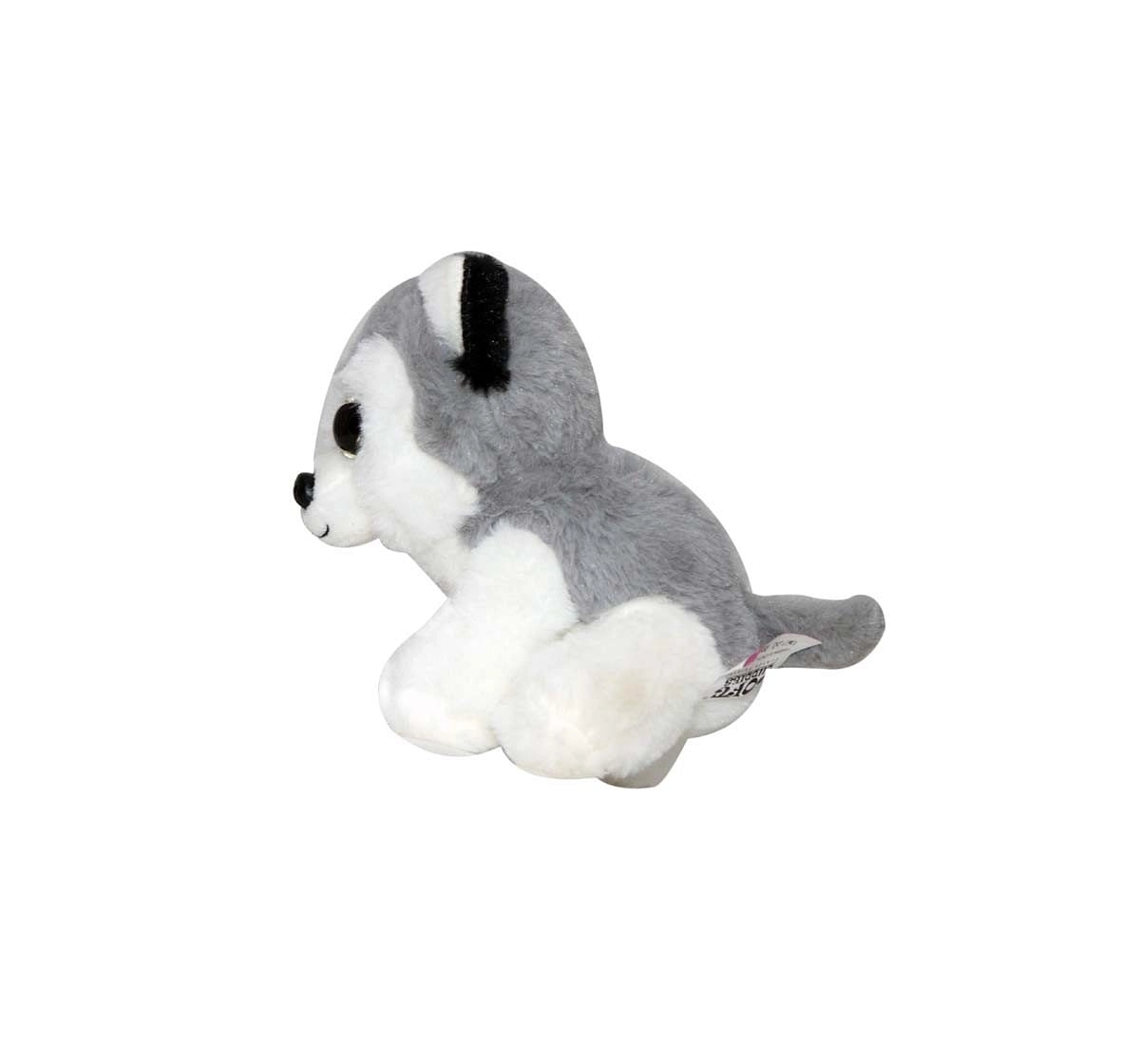 Softbuddies Big Eye Husky Dog 30 Cm Quirky Soft Toys for Kids age 3Y+ 30 Cm 