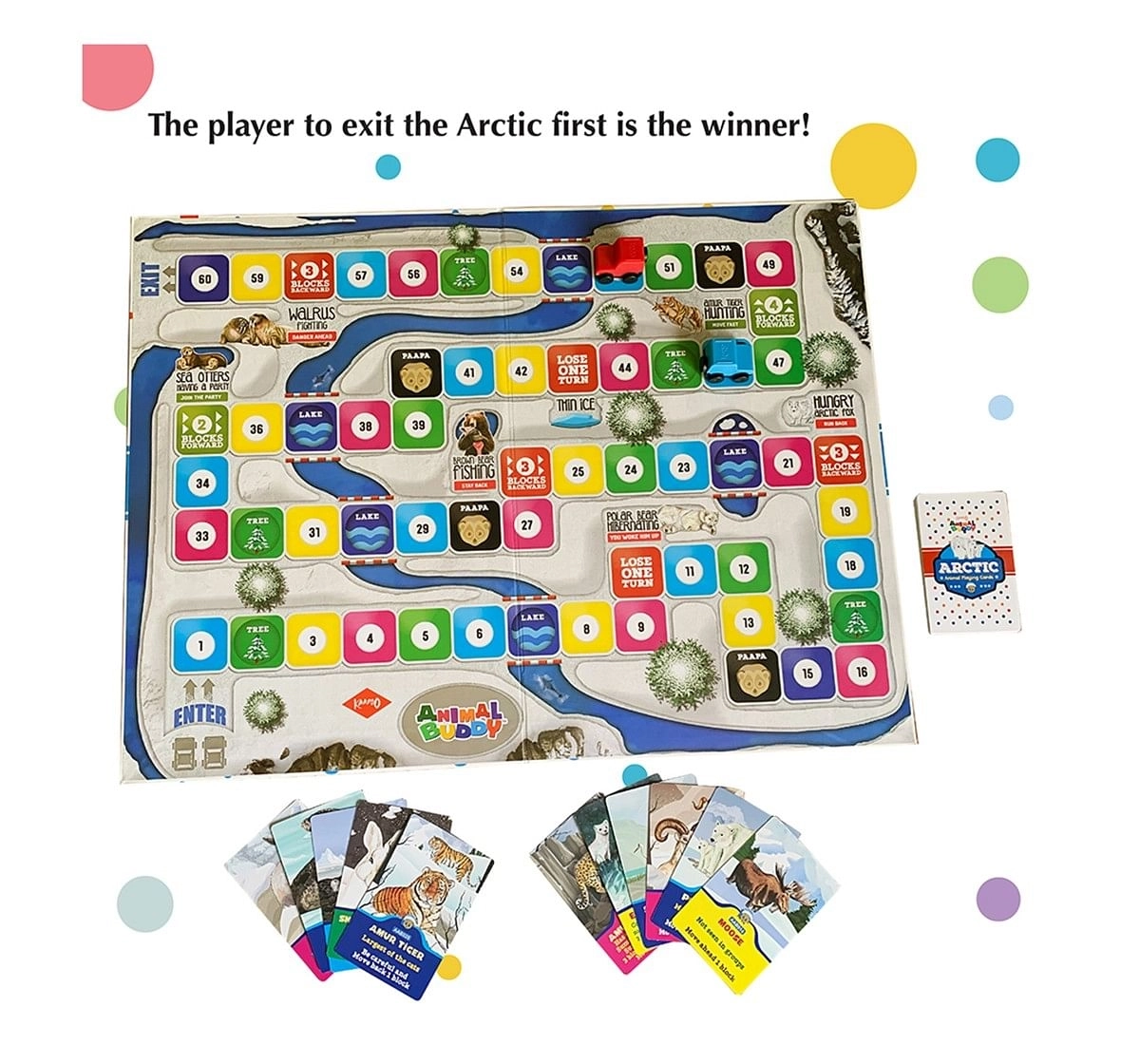 Kaadoo Animal Buddy-Arctic World Edition Board Game for Kids age 10Y+ 