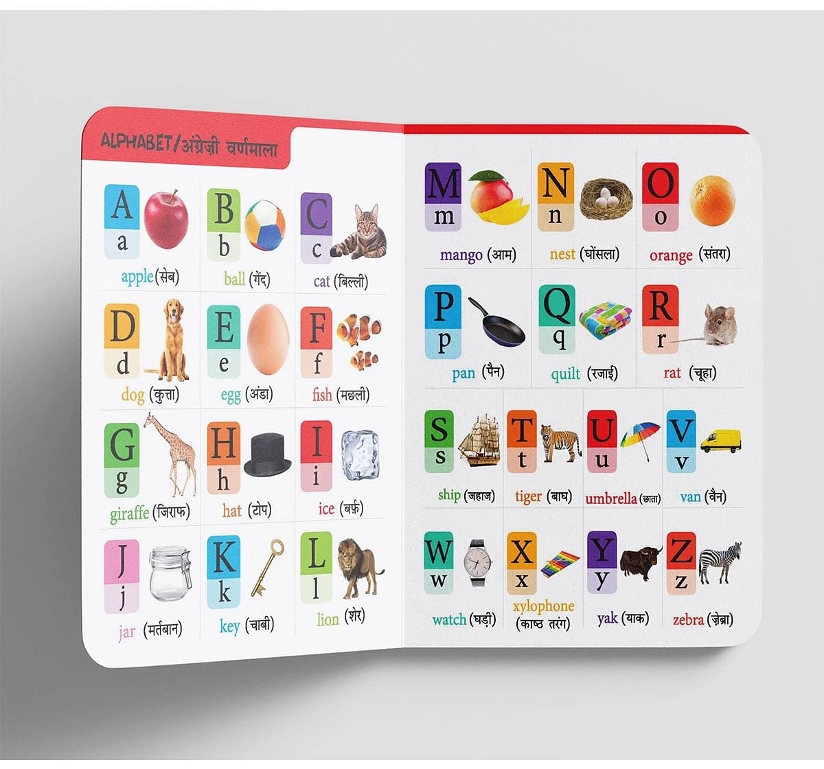 Wonder House Books My First All In One English Hindi Bilingual Picture Board Book for kids 0M+, Multicolour