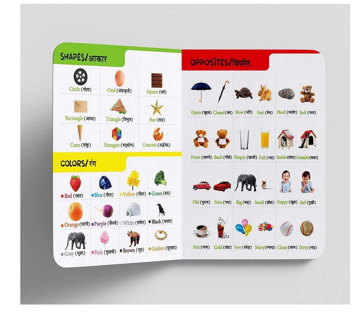 Wonder House Books My First All In One English Hindi Bilingual Picture Board Book for kids 0M+, Multicolour