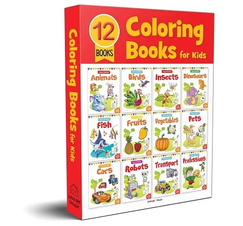 Wonder House Books Boxset Pack of 12 Books for kids 0M+, Multicolour