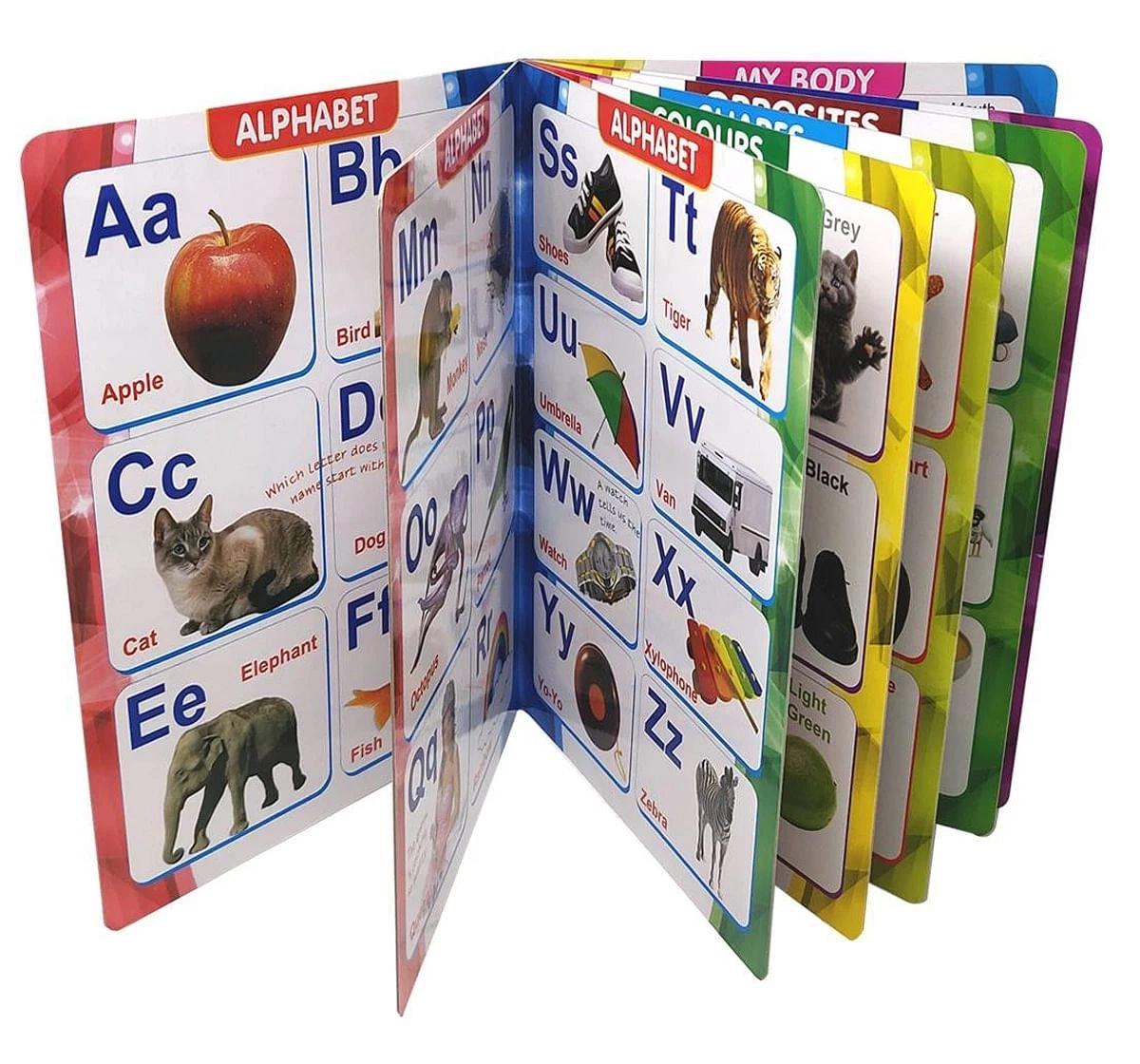 Sterling Horizons Basic Concept All In One Picture Books Multicolour 3Y+