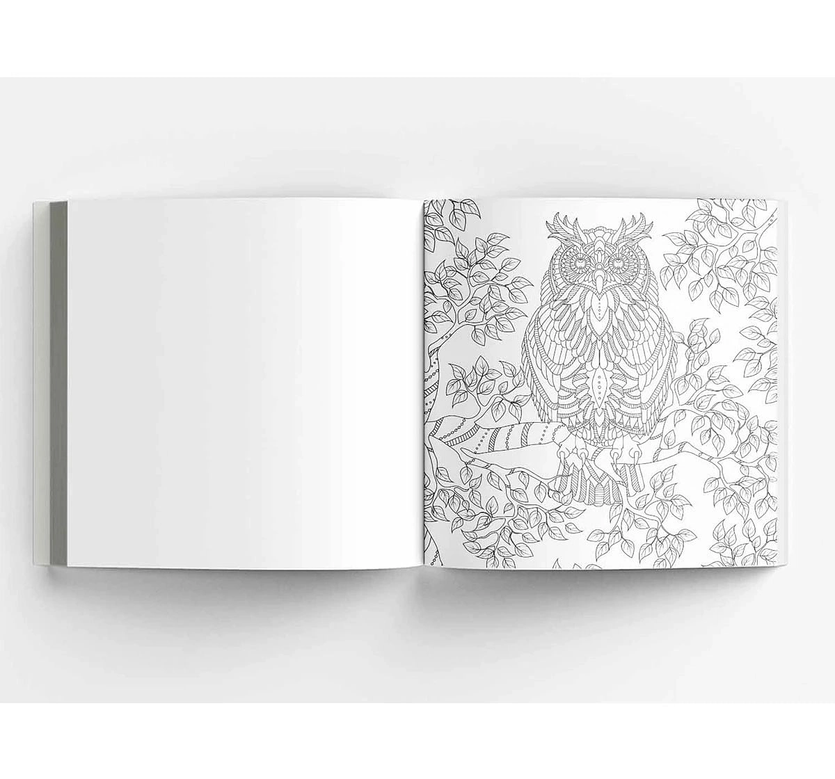 Wonder House Books Majestic Animals Colouring Books With Tear Out Sheets for kids 12Y+, Multicolour