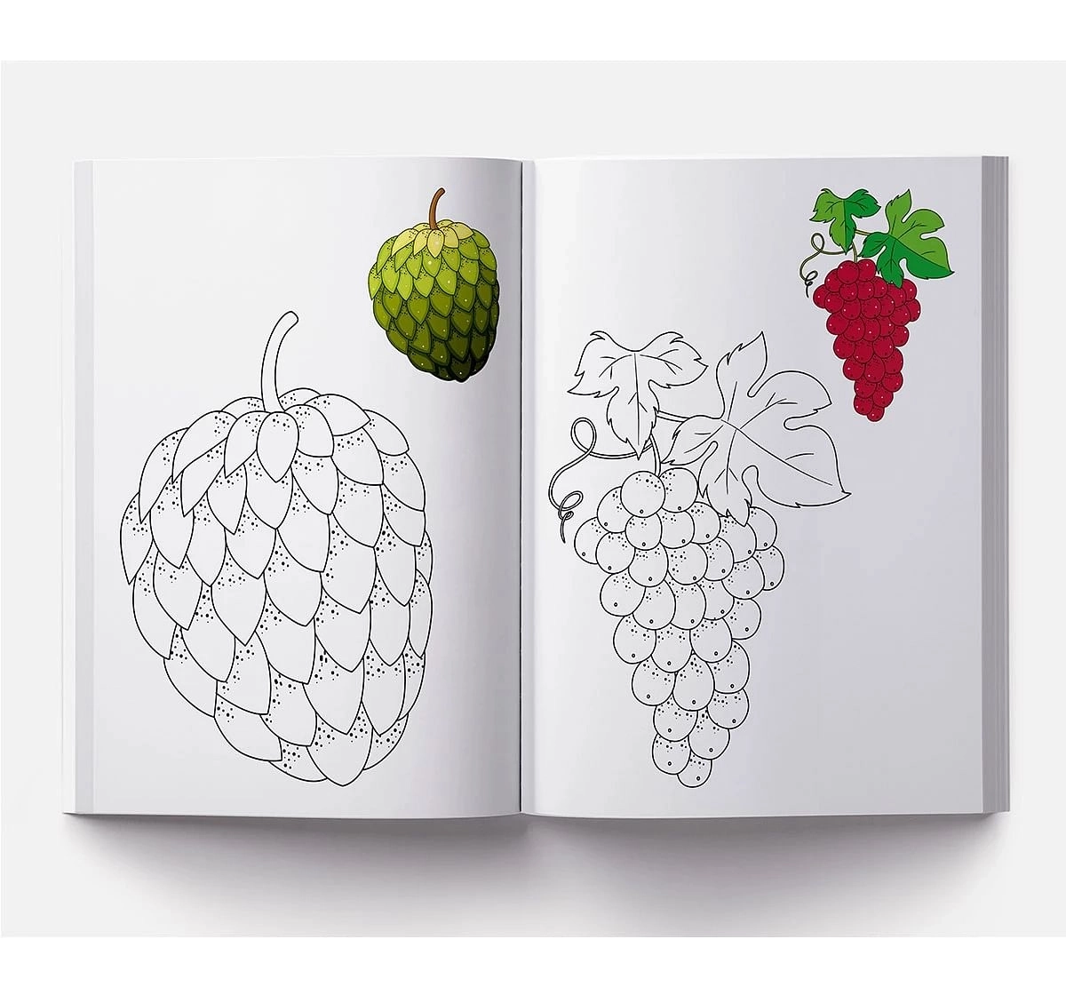 Wonder House Books Little Artist Series Fruits Colour Books for kids 0M+, Multicolour