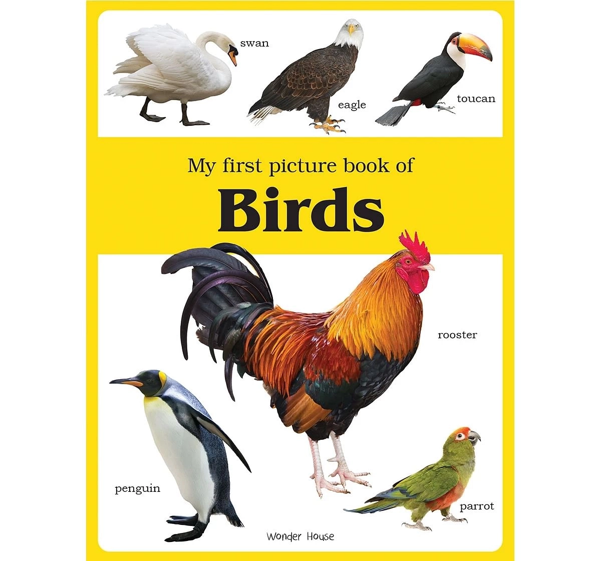 Wonder House Books My First Birds Picture Book for kids 0M+, Multicolour