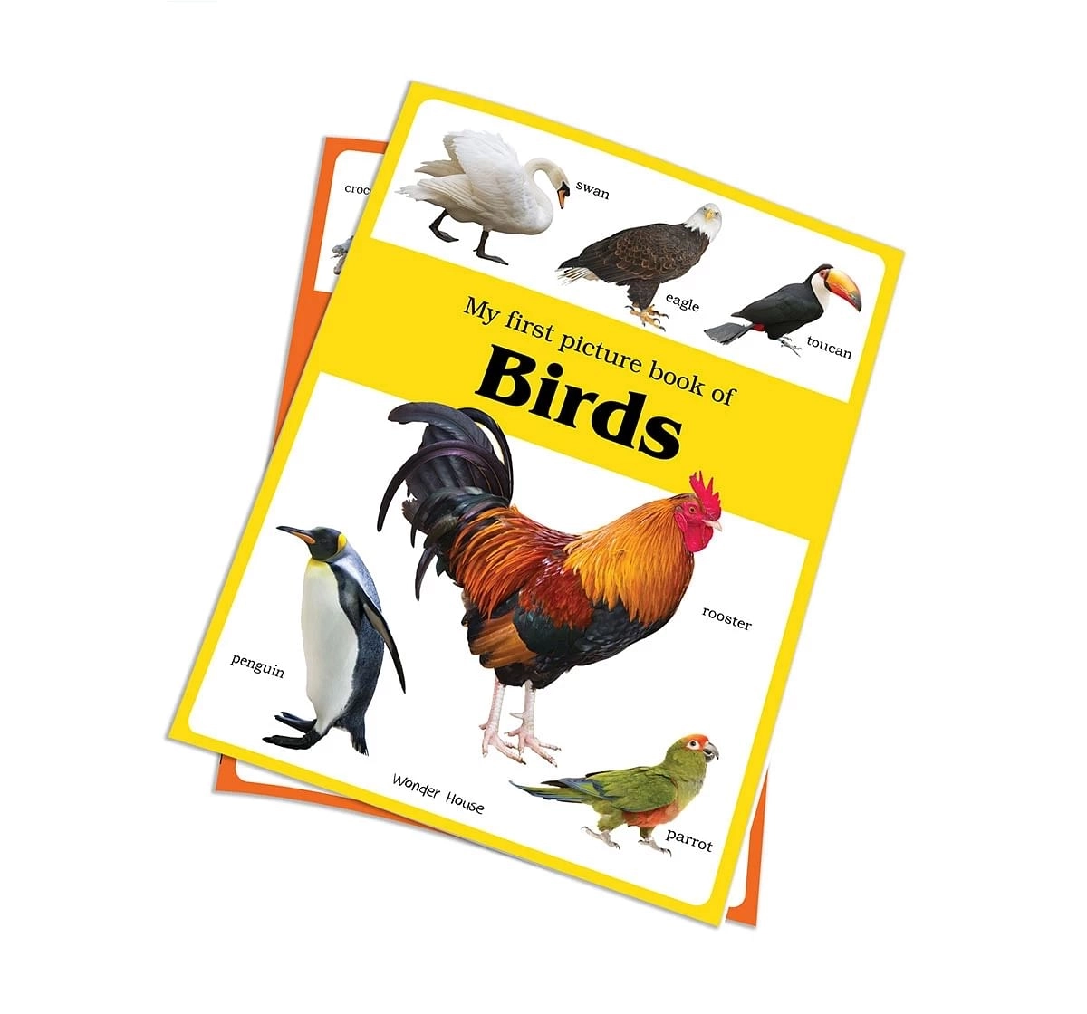 Wonder House Books My First Birds Picture Book for kids 0M+, Multicolour