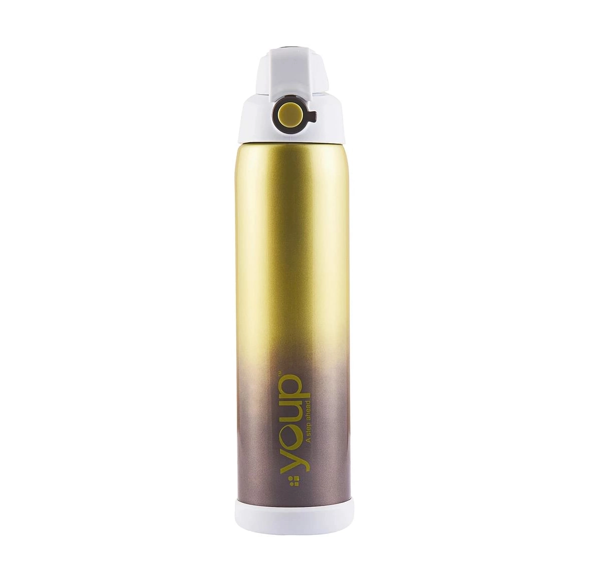 Youp Thermosteel Insulated Water Bottle Emerald Multicolour 10Y+ Assorted 