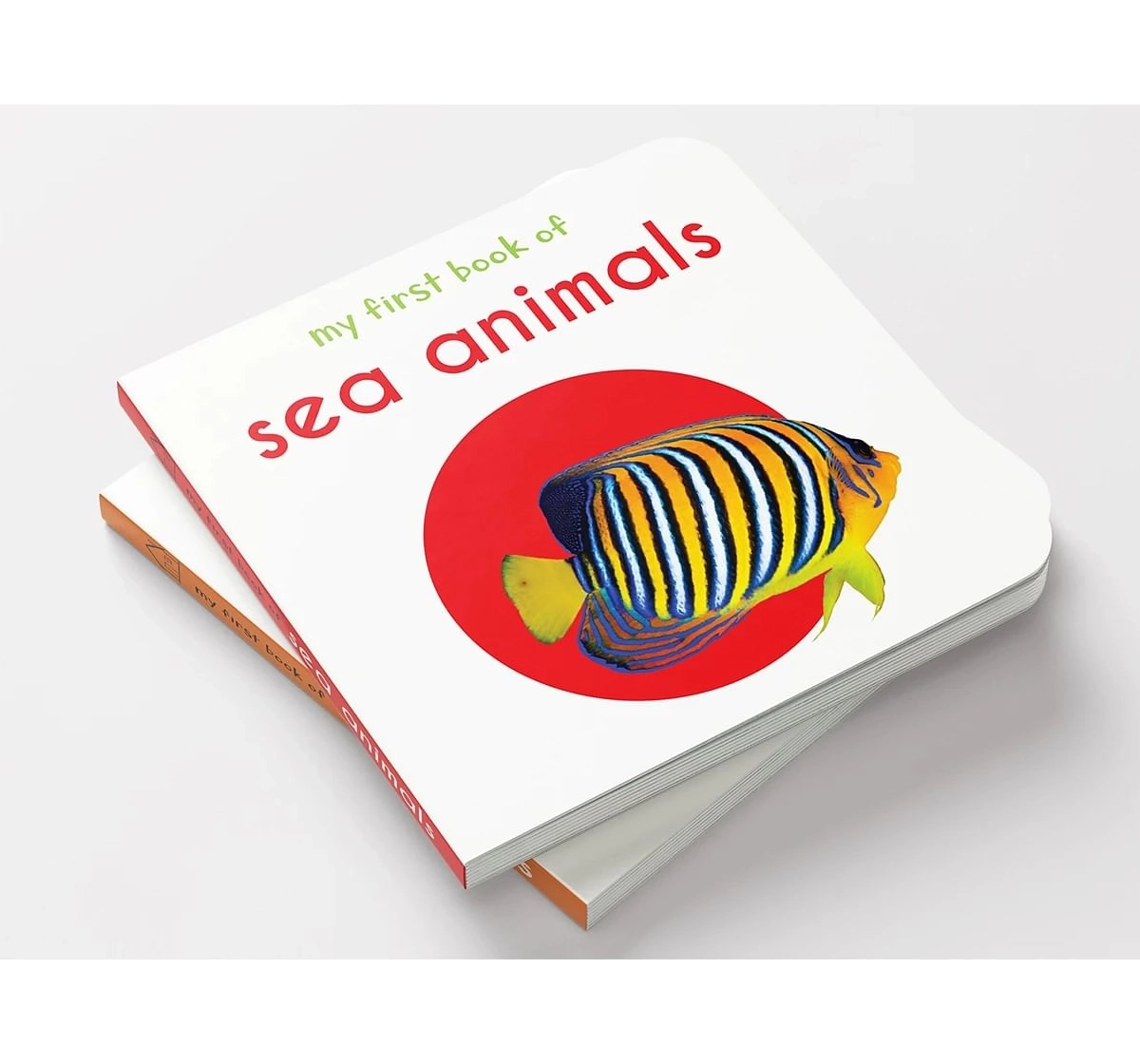 Wonder House Books My First Sea Animals Board Book for kids 0M+, Multicolour