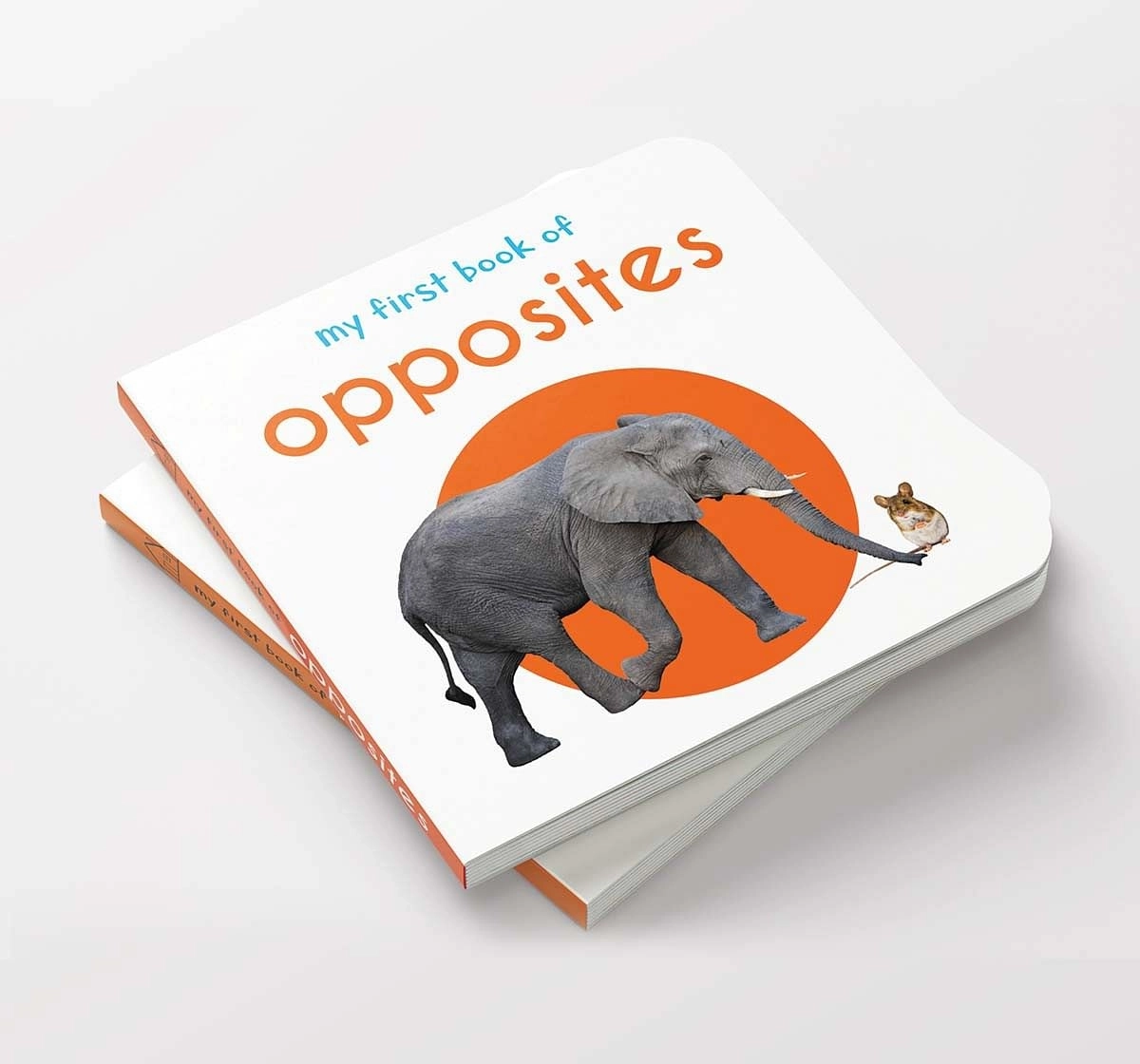 Wonder House Books My First Book of Opposites Hardback Multicolor 0M+