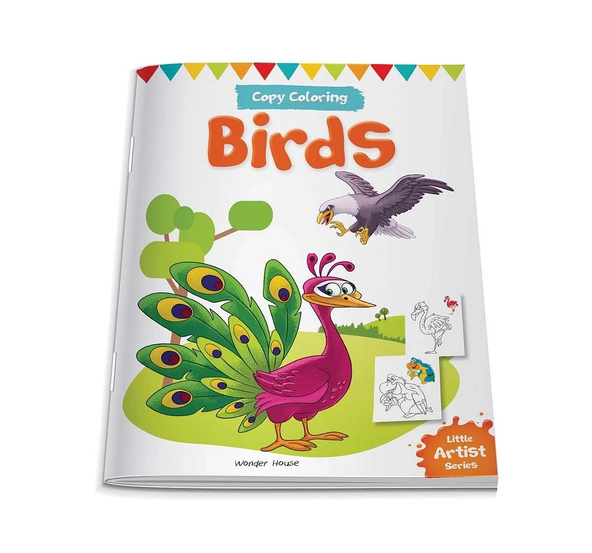 Wonder House Books Little Artist Series Birds Copy Colour Paperback Multicolor 0M+
