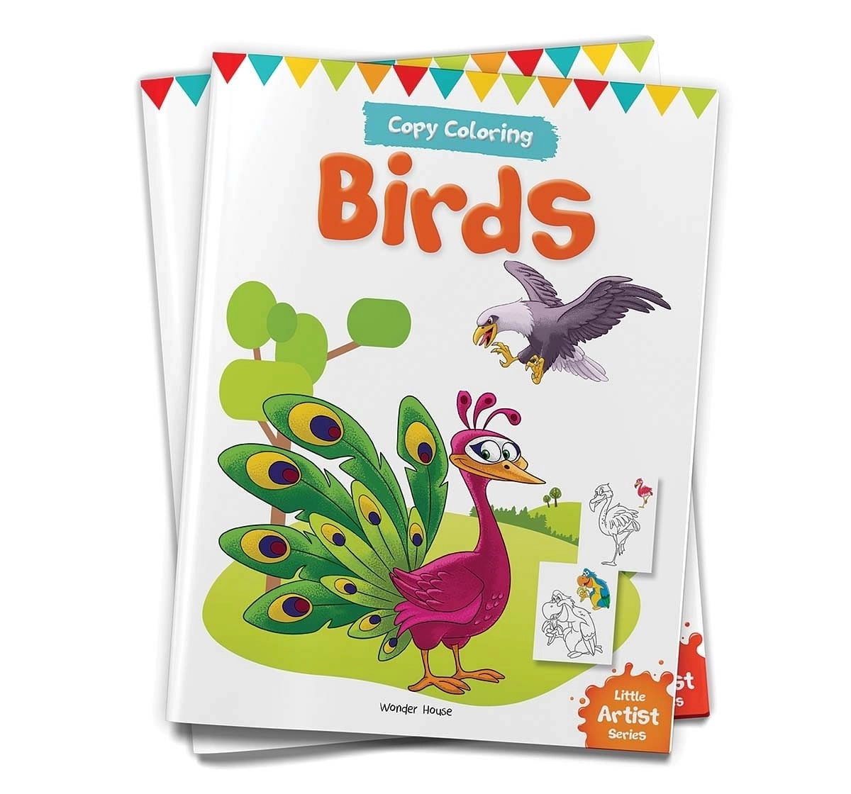 Wonder House Books Little Artist Series Birds Copy Colour Paperback Multicolor 0M+