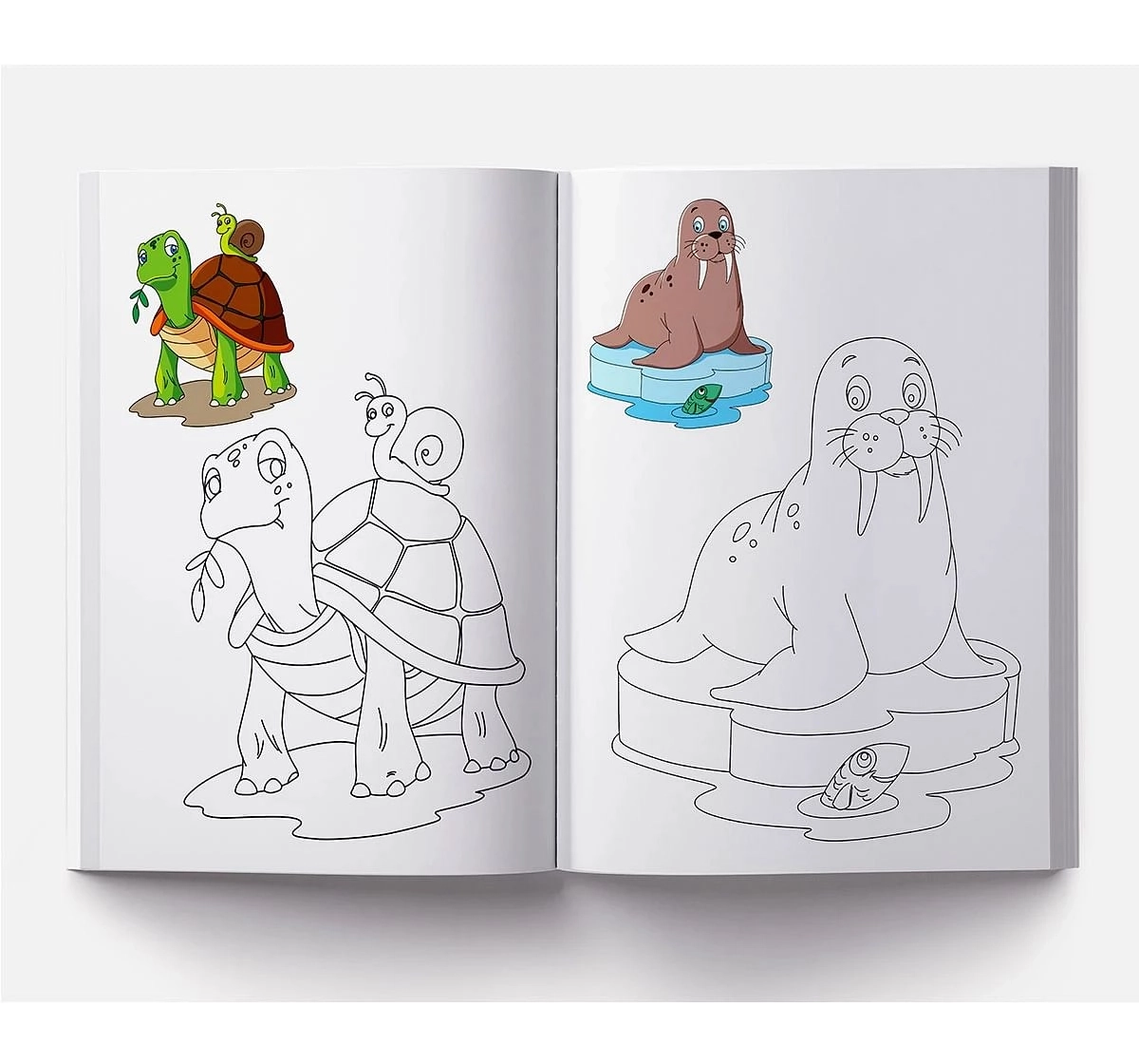 Wonder House Books Little Artist Series Sea Animals Colour Books for kids 0M+, Multicolour