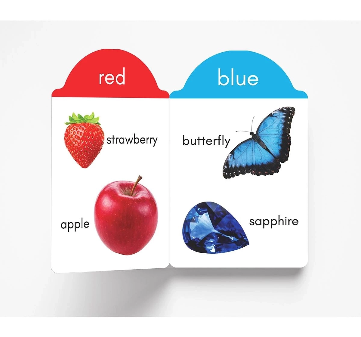 Wonder House Books My Early Learning Colours Book for kids 0M+, Multicolour
