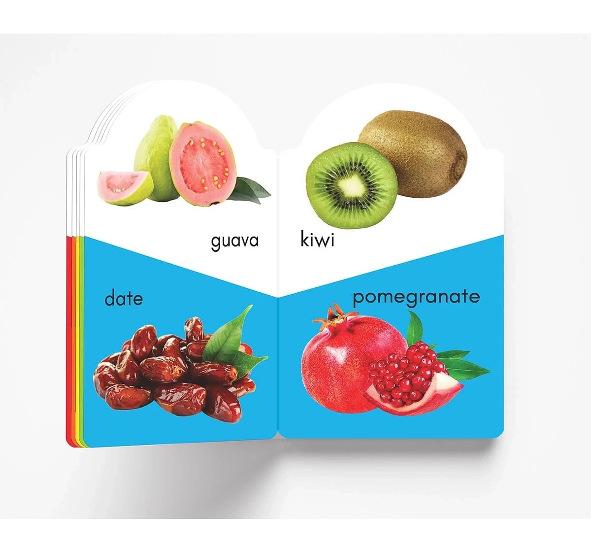 Wonder House Books My Early Learning Fruits and Shapes Book for kids 0M+, Multicolour