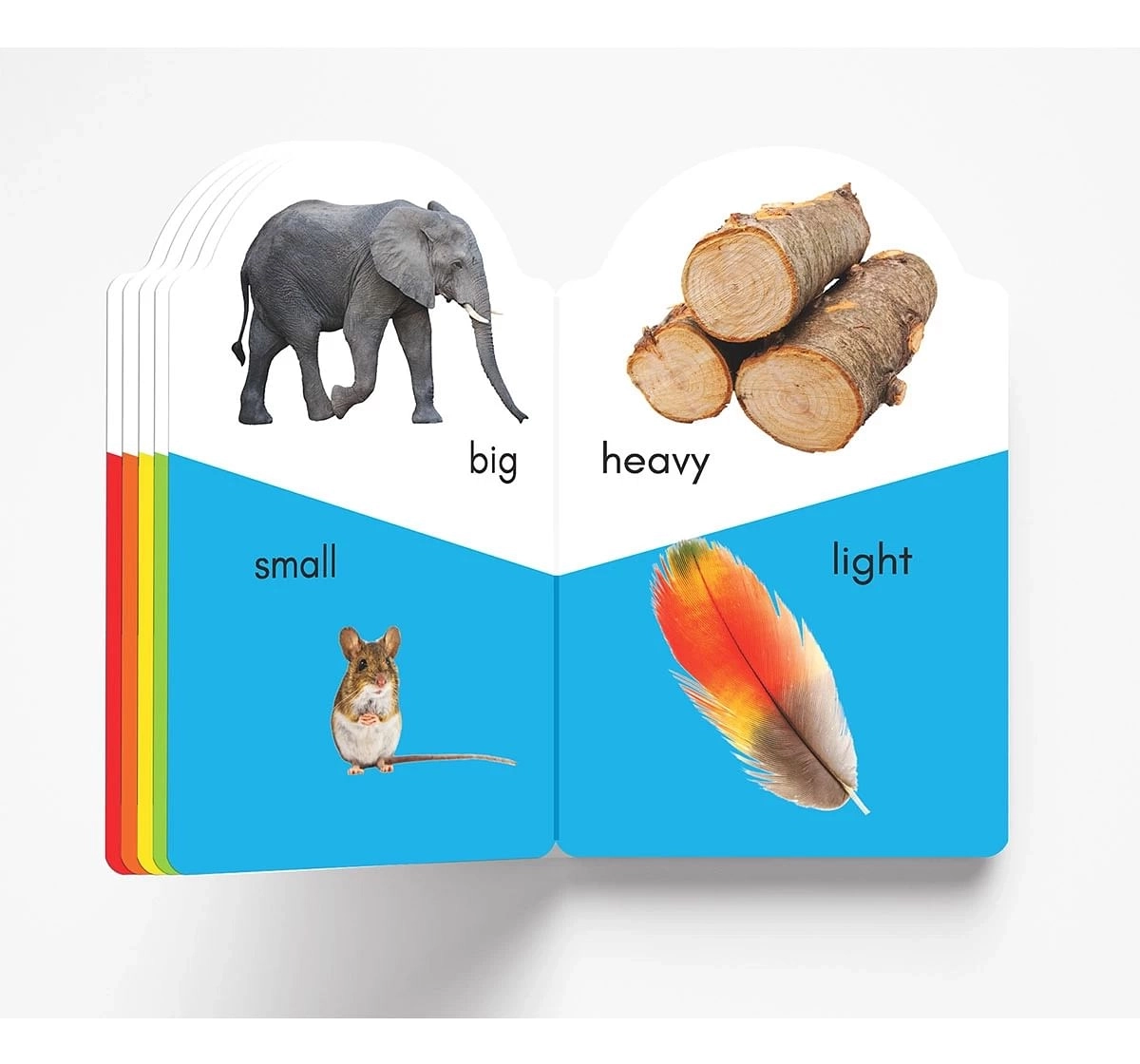 Wonder House Books My Early Learning Opposites Book for kids 0M+, Multicolour