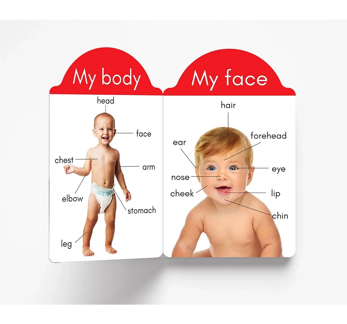 Wonder House Books My Early Learning About Me Book for kids 0M+, Multicolour