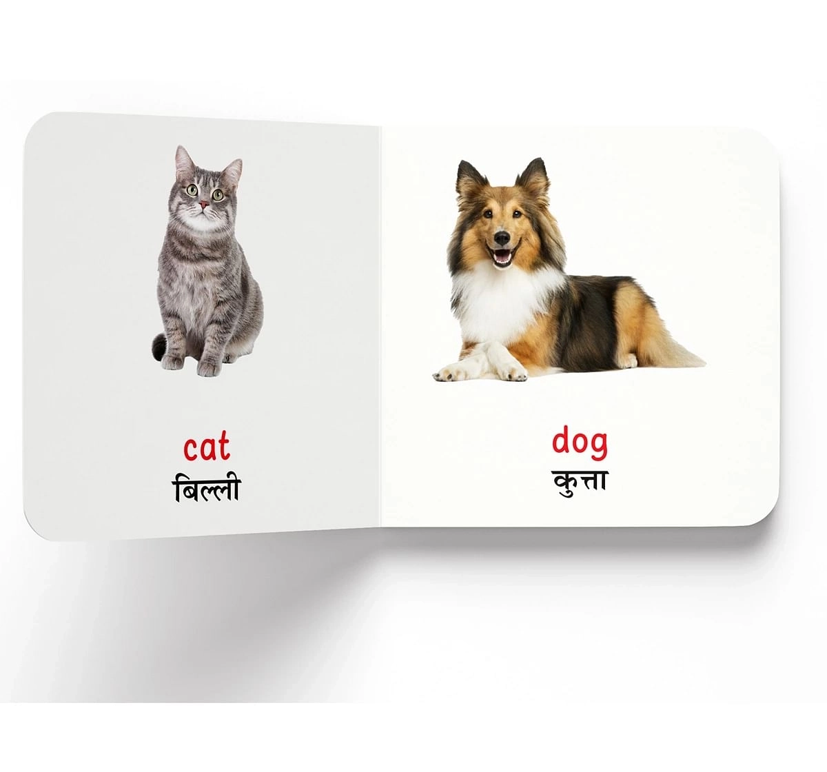 Wonder House Books My First Farm Animals and Pets Paltu Janwar English Hindi Bilingual Board Books for kids 0M+, Multicolour