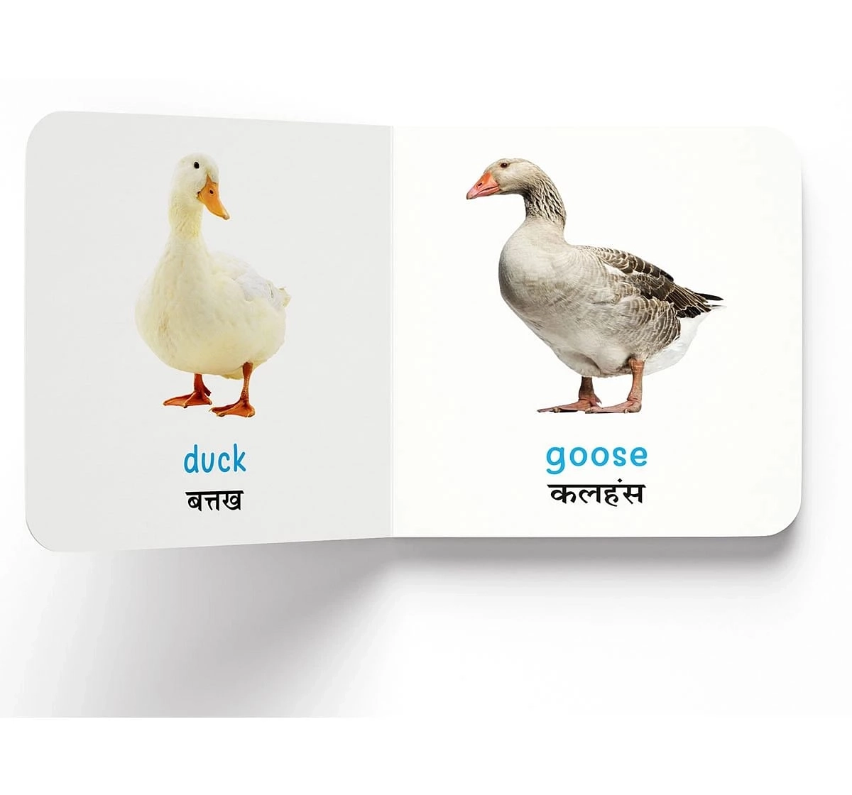 Wonder House Books My First Farm Animals and Pets Paltu Janwar English Hindi Bilingual Board Books for kids 0M+, Multicolour