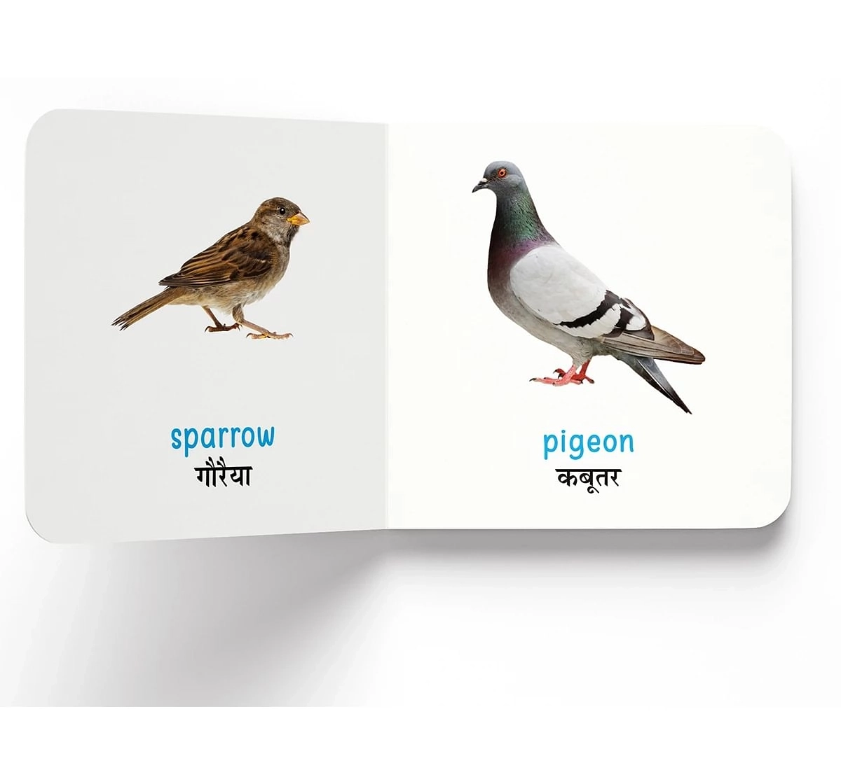 Wonder House Books My First Birds Pakshi English Hindi Bilingual Board Books for kids 0M+, Multicolour