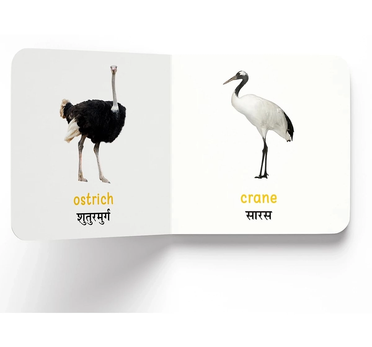 Wonder House Books My First Birds Pakshi English Hindi Bilingual Board Books for kids 0M+, Multicolour