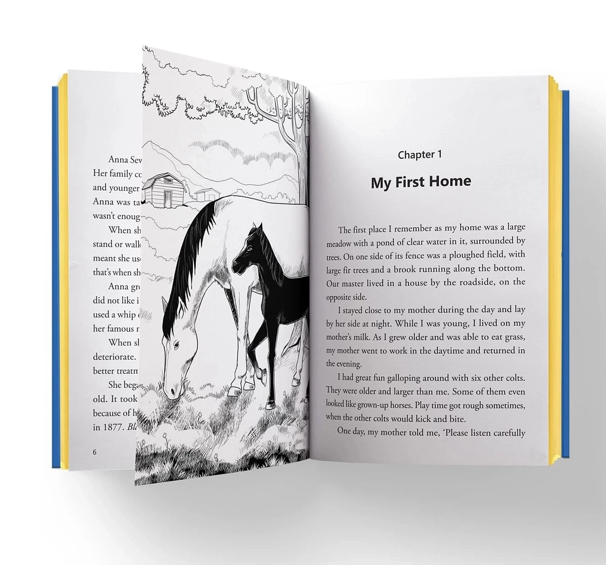 Wonder House Books Black Beauty Abridged Novels With Review Questions Hardback Book for kids 8Y+, Multicolour