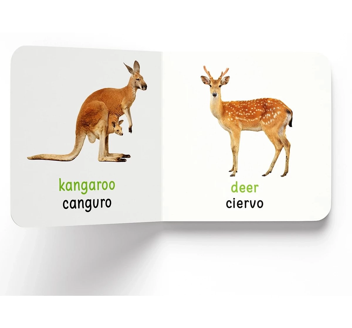 Wonder House Books My First Wild Animals English Spanish Board Book for kids 0M+, Multicolour
