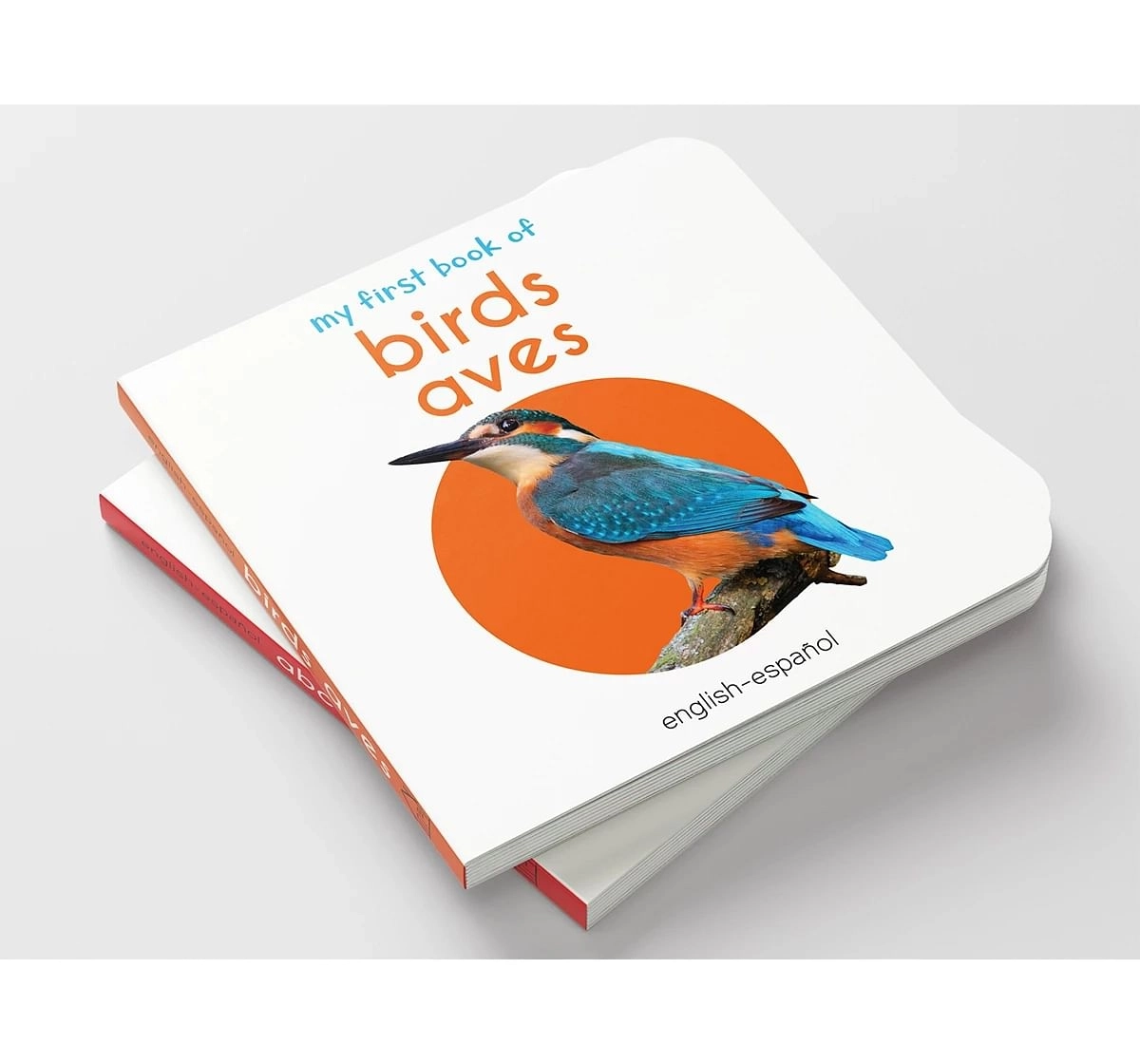 Wonder House Books My First Birds English Spanish Board Book for kids 0M+, Multicolour