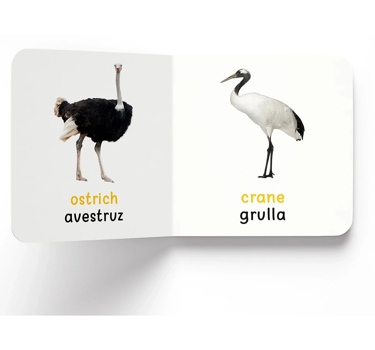 Wonder House Books My First Birds English Spanish Board Book for kids 0M+, Multicolour