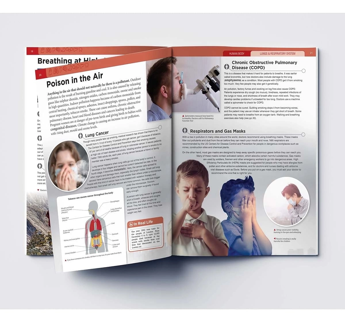 Wonder House Books Human Body Lungs and Respiratory System Knowledge Encyclopedia Book for kids 12Y+, Multicolour