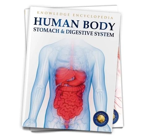Wonder House Books Human Body Stomach and Digestive System Knowledge Encyclopedia Book for kids 12Y+, Multicolour