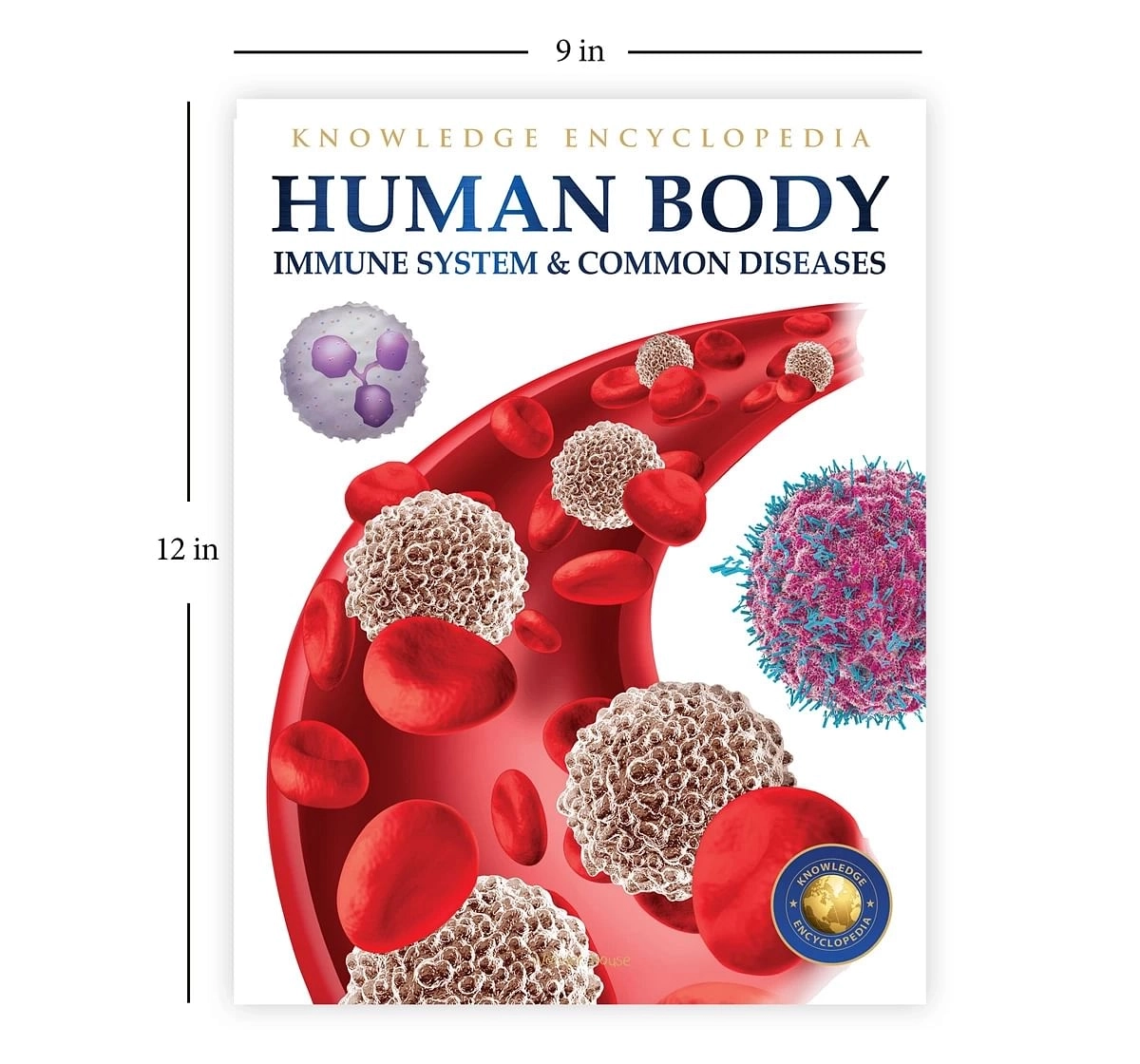 Wonder House Books Human Body Immusystem and Common Diseases Knowledge Encyclopedia Book for kids 12Y+, Multicolour