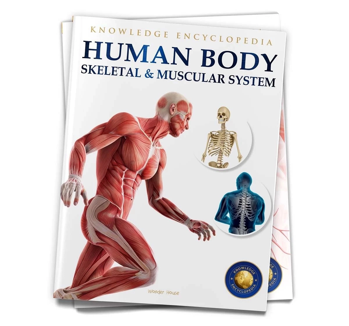 Wonder House Books Human Body Skeletal and Muscular System Knowledge Encyclopedia Book for kids 12Y+, Multicolour