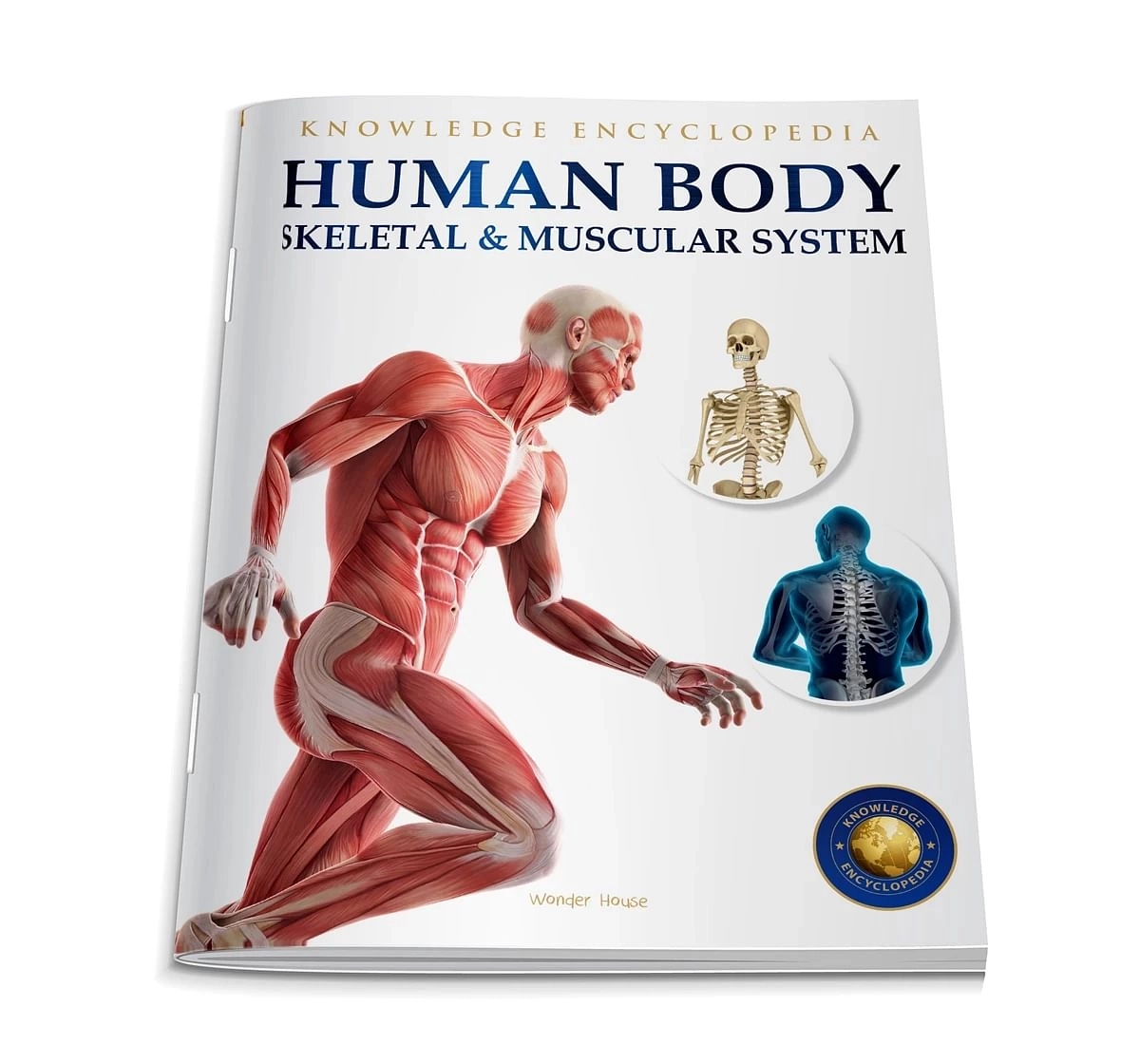 Wonder House Books Human Body Skeletal and Muscular System Knowledge Encyclopedia Book for kids 12Y+, Multicolour