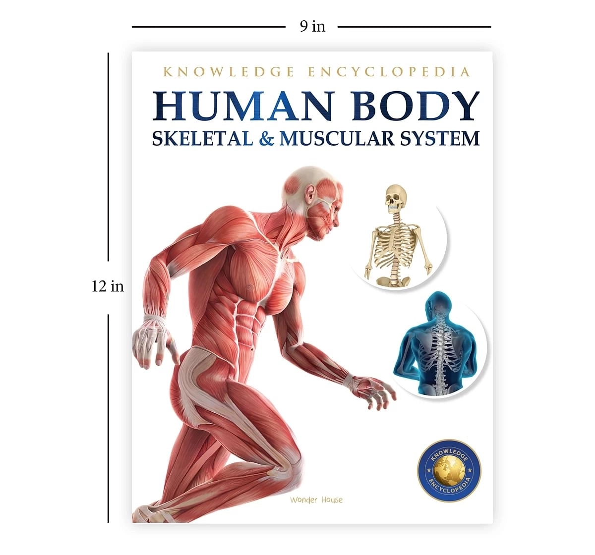 Wonder House Books Human Body Skeletal and Muscular System Knowledge Encyclopedia Book for kids 12Y+, Multicolour