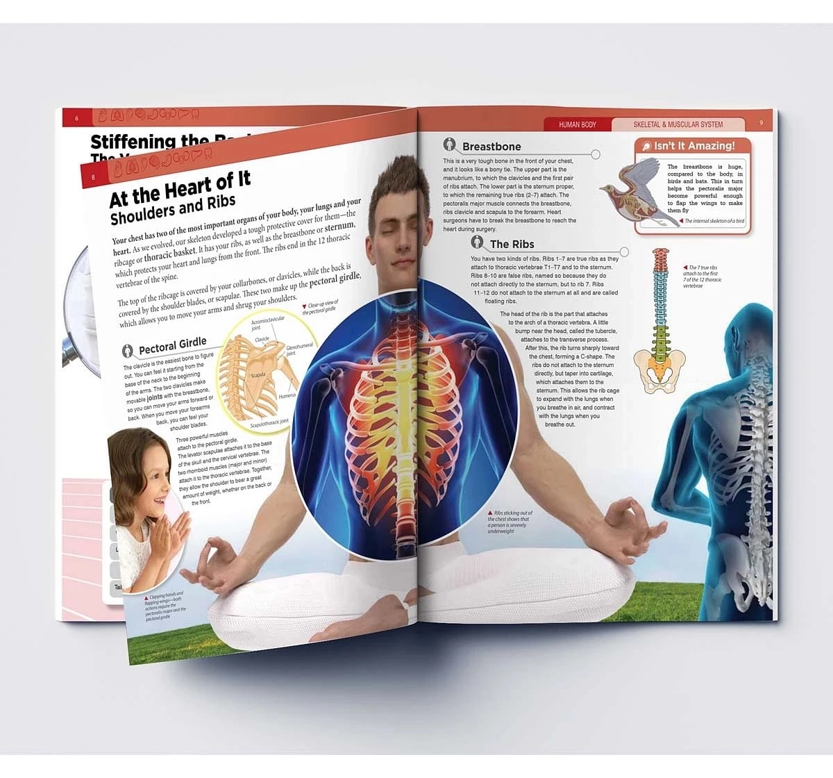 Wonder House Books Human Body Skeletal and Muscular System Knowledge Encyclopedia Book for kids 12Y+, Multicolour