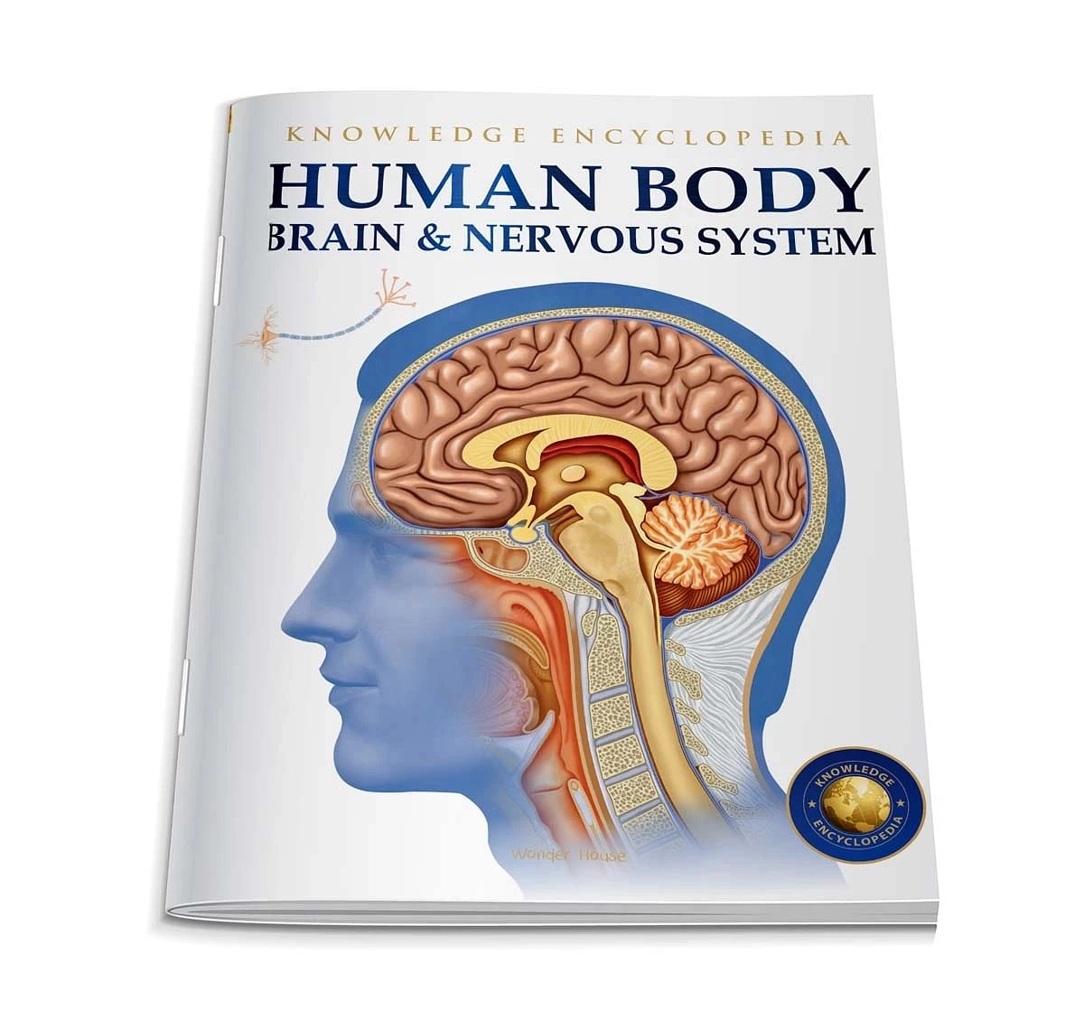 Wonder House Books Human Body Brain and Nervous System Knowledge Encyclopedia Book for kids 12Y+, Multicolour