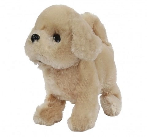 Paw pets shop toys hamleys