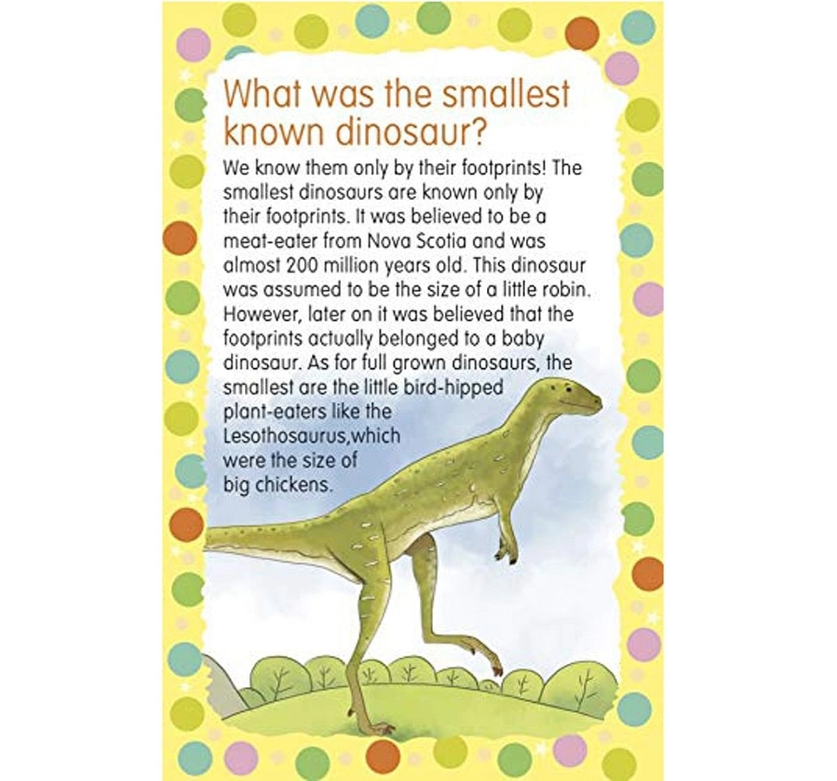 OM Books 99 Question & Answers Dinosaurs Flash Cards Multicolour 5Y+